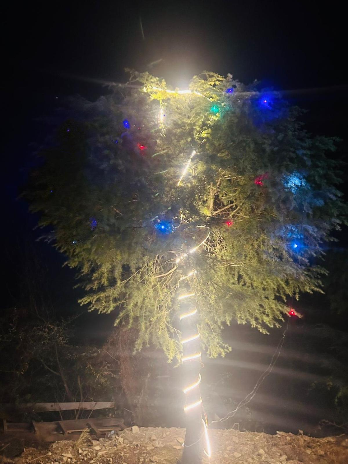 Tree Hub Jibhiアパートメント エクステリア 写真